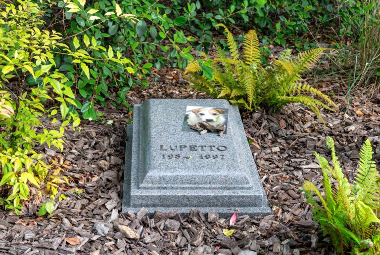 Maurizio Cattelan, Lupetto, 1995/2025