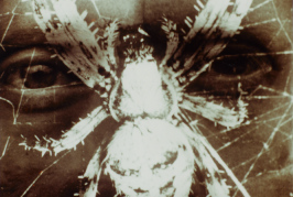 Michel NEDJAR, A quoi rêve l'araignée ?, 1982