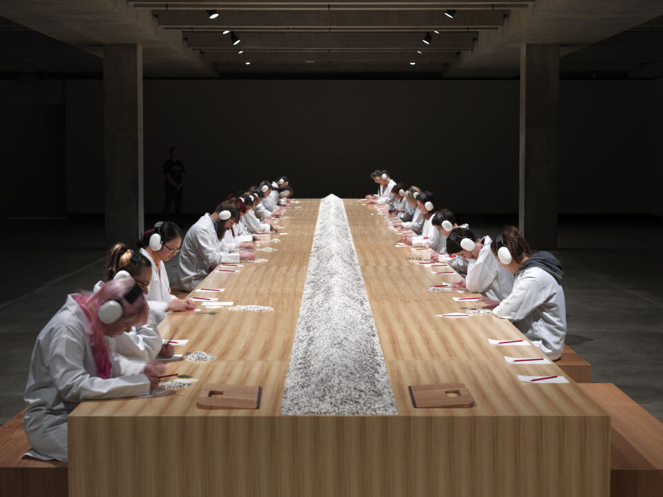 Marina Abramović, Counting the Rice, 2015