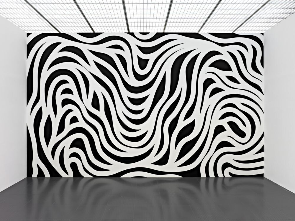 Wall Drawing #879, Loopy Doopy (black and white)