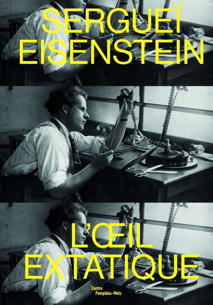 eisenstein_v42_couv.jpeg