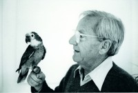 François Morellet, Cholet, 1985