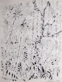 André Masson, Forêt martinique, 1941