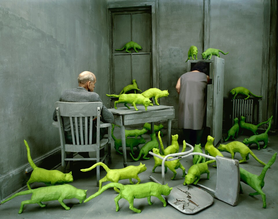 Sandy SKOGLUND, Radioactive Cats, 1980